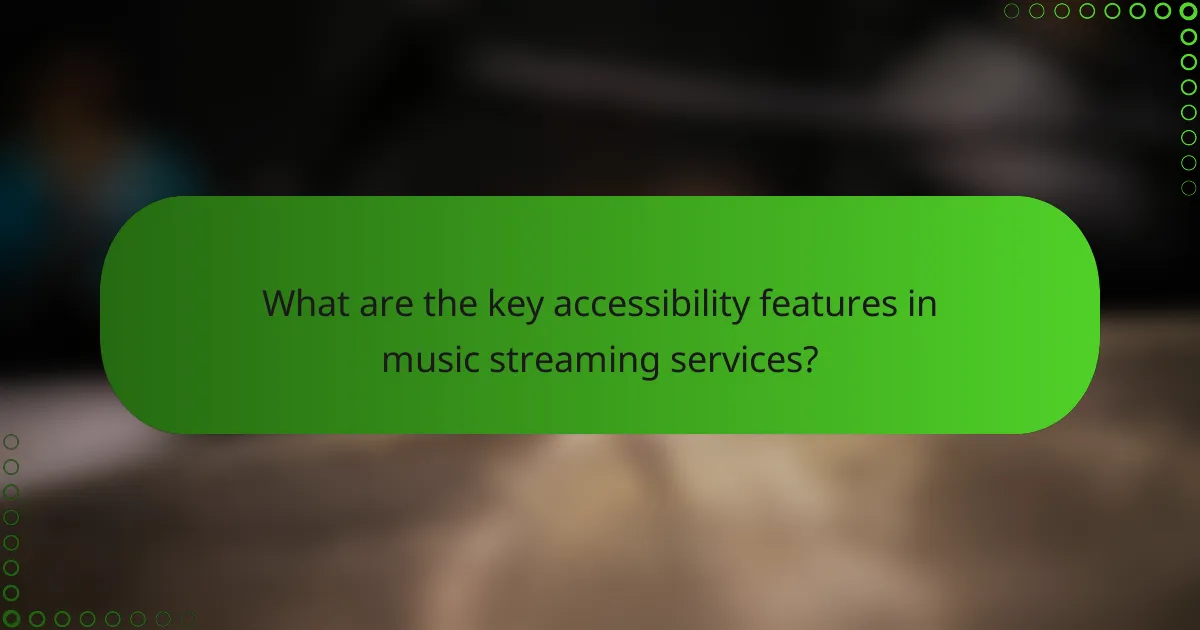 What are the key accessibility features in music streaming services?